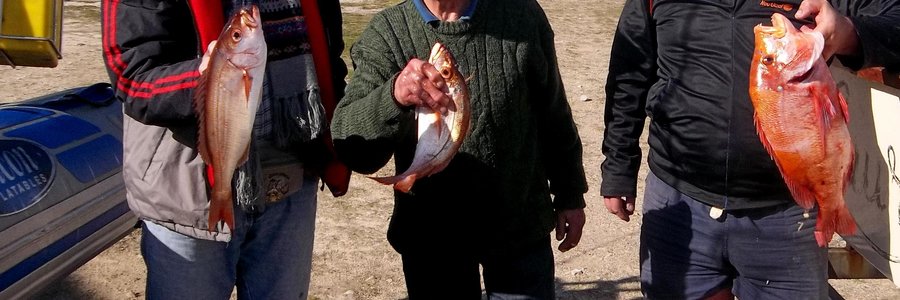 Van links, Daniel Coetzee, skipper Raymond Rabie en Salmon Herselman met van die vis wat hulle Saterdag in onstuimige water gevang het. 